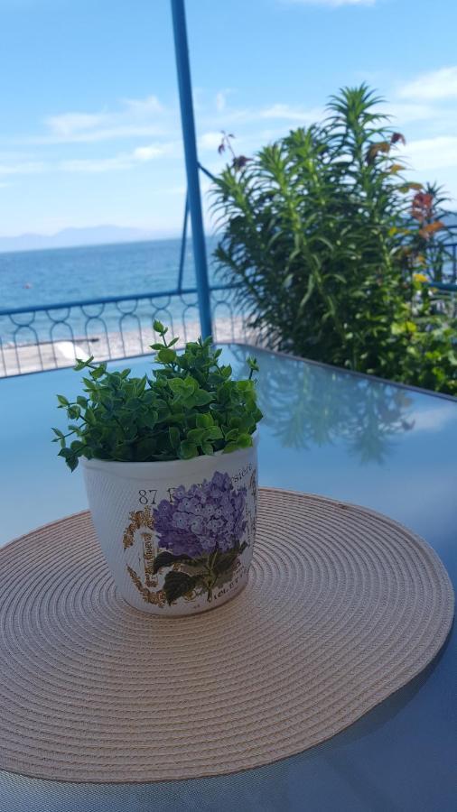 Antony's Sea View * Tiros