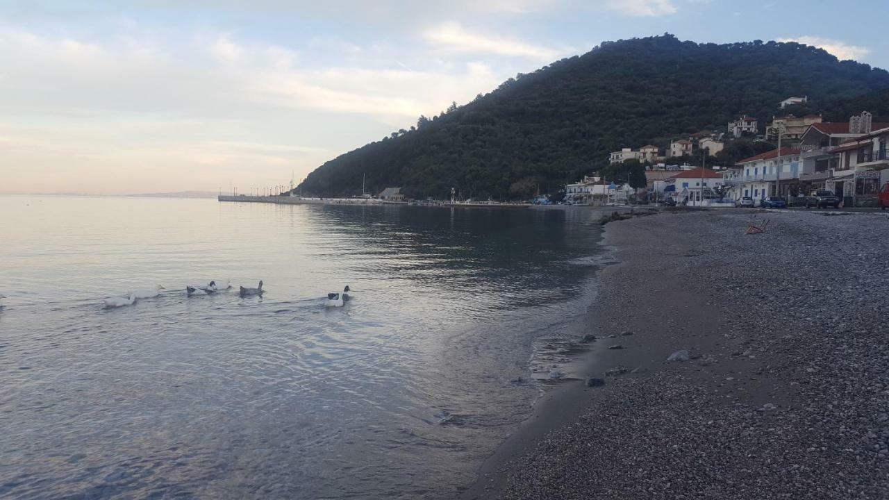 Antony's Sea View Τυρός